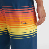 Hyperfreak Heat Stripe Line 19'' Boardshorts | Indigo Stripe Panel