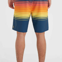 Hyperfreak Heat Stripe Line 19'' Boardshorts | Indigo Stripe Panel