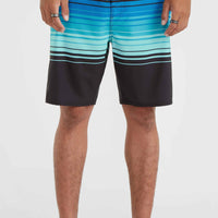Hyperfreak Heat Stripe Line 19'' Boardshorts | Black Stripe Panel