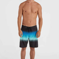 Hyperfreak Heat Stripe Line 19'' Boardshorts | Black Stripe Panel