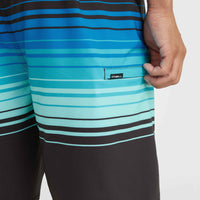 Hyperfreak Heat Stripe Line 19'' Boardshorts | Black Stripe Panel