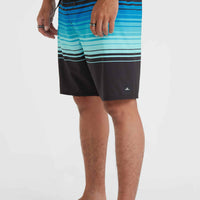 Hyperfreak Heat Stripe Line 19'' Boardshorts | Black Stripe Panel