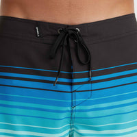 Hyperfreak Heat Stripe Line 19'' Boardshorts | Black Stripe Panel