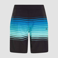 Hyperfreak Heat Stripe Line 19'' Boardshorts | Black Stripe Panel