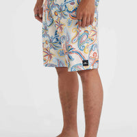 Hyperfreak Mysto 20'' Boardshorts | Cream Mysto