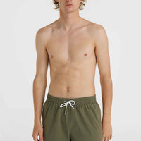 Mix and Match Vert 16'' Badehose | Asher Tree