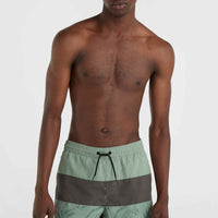 Mix and Match Cali Block 15'' Badehose | Green Vintage Surfer