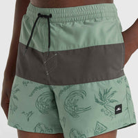 Mix and Match Cali Block 15'' Badehose | Green Vintage Surfer