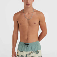 Mix and Match Cali Block 15'' Badehose | Beige Venice Beach