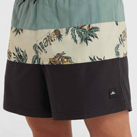 Mix and Match Cali Block 15'' Badehose | Beige Venice Beach