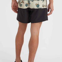 Mix and Match Cali Block 15'' Badehose | Beige Venice Beach