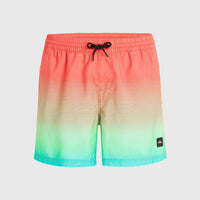 Jack O'Neill Cali Gradient 15'' Badehose | Living Coral Simple Gradient Panel