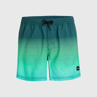 Jack O'Neill Cali Gradient 15'' Badehose | Beetle Juice Simple Gradient Panel