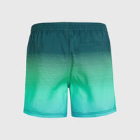 Jack O'Neill Cali Gradient 15'' Badehose | Beetle Juice Simple Gradient Panel