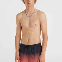 Jack O'Neill Cali Gradient 15'' Badehose | Black Simple Gradient Panel