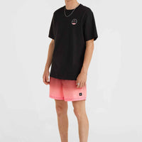 Jack O'Neill Cali Gradient 15'' Badehose | Black Simple Gradient Panel