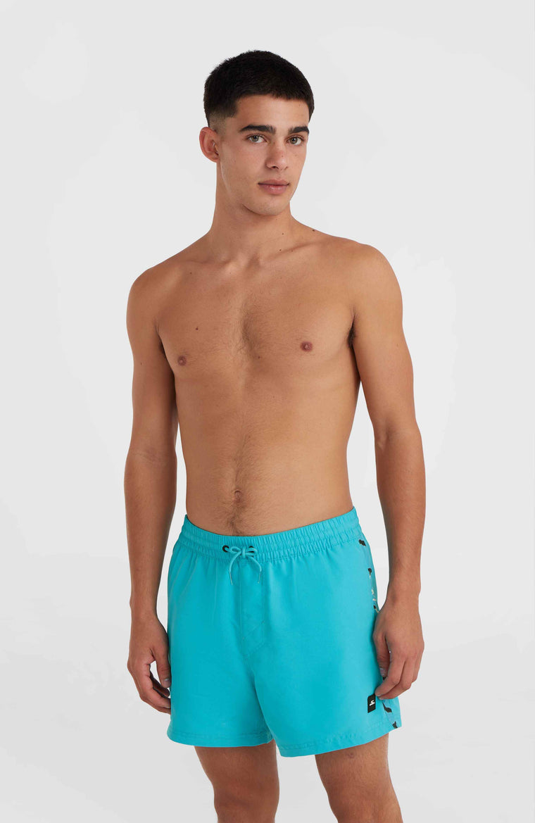 Jack O'Neill Vert 14'' Badehose | Neon Blue