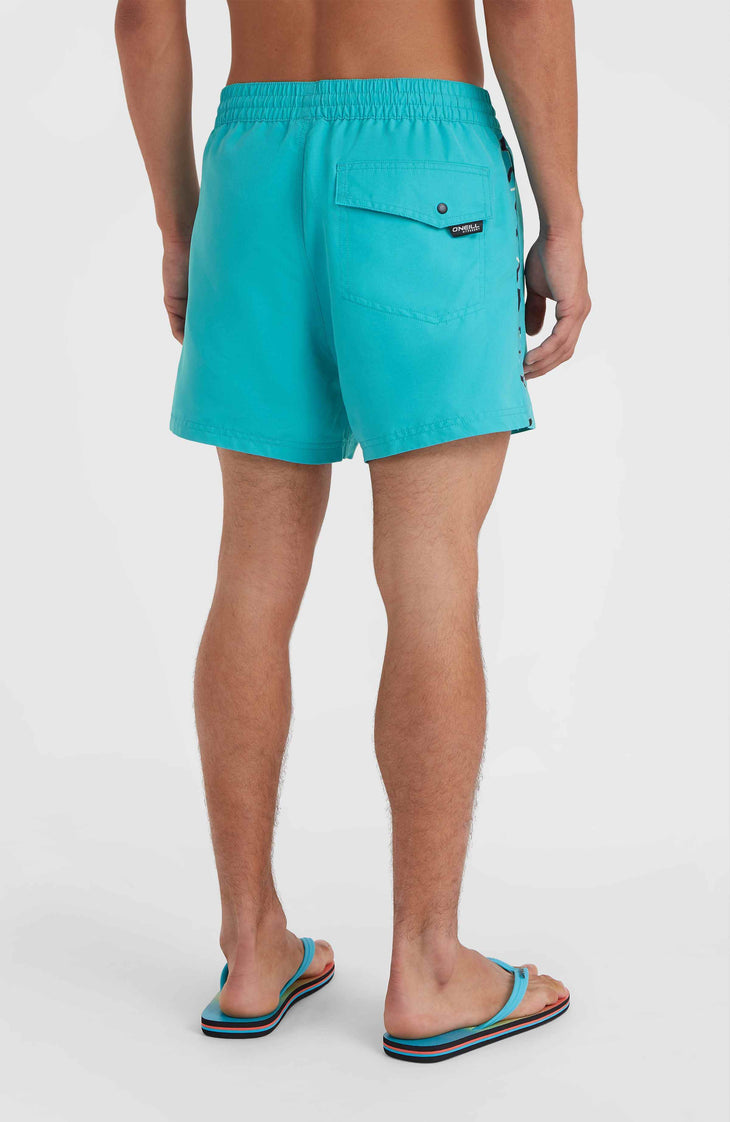Jack O'Neill Vert 14'' Badehose | Neon Blue