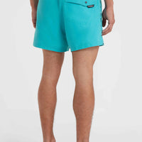 Jack O'Neill Vert 14'' Badehose | Neon Blue