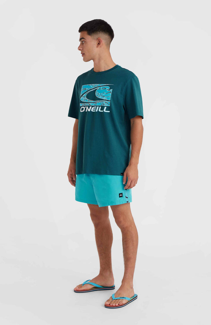 Jack O'Neill Vert 14'' Badehose | Neon Blue