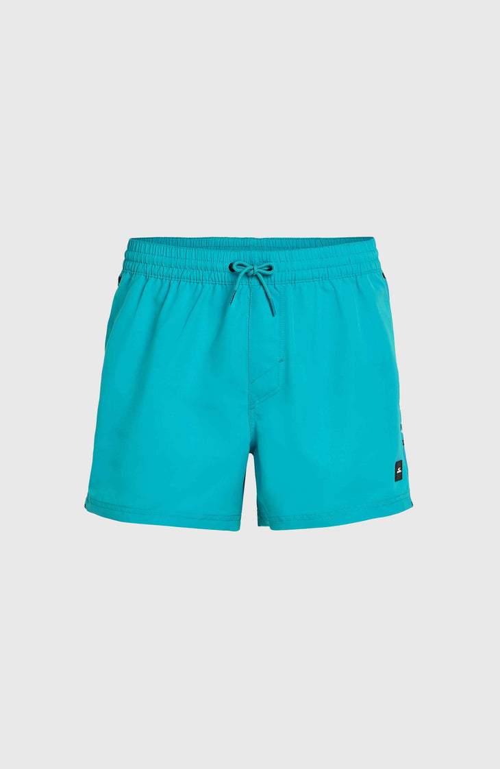 Jack O'Neill Vert 14'' Badehose | Neon Blue