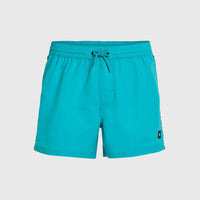 Jack O'Neill Vert 14'' Badehose | Neon Blue