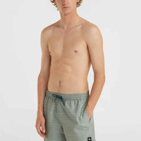 Jack O'Neill Cali First 15'' Badehose | Green First Name Stripe