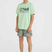 Jack O'Neill Cali First 15'' Badehose | Green First Name Stripe