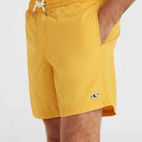 Vert 16'' Badehose | Golden Haze