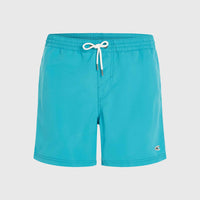 Vert 16'' Badehose | Neon Blue