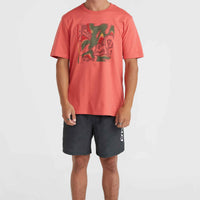 Cali 16'' Badehose | Black IC Things Dark