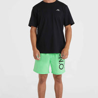 Original Cali 16'' Badehose | Neon Green