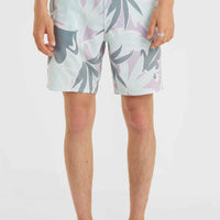 O'Riginals Print 18'' Cruzers Boardshorts | Seafoam White