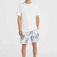 O'Riginals Print 18'' Cruzers Boardshorts | Seafoam White