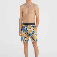 O'Riginals Print 18'' Cruzers Boardshorts | Seafoam Black