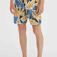 O'Riginals Print 18'' Cruzers Boardshorts | Seafoam Black