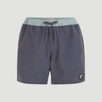 O'Riginals Volley 16'' Badehose | Graphite