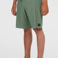 Hyperfreak Tech Solid 19'' Boardshorts | Seagrass