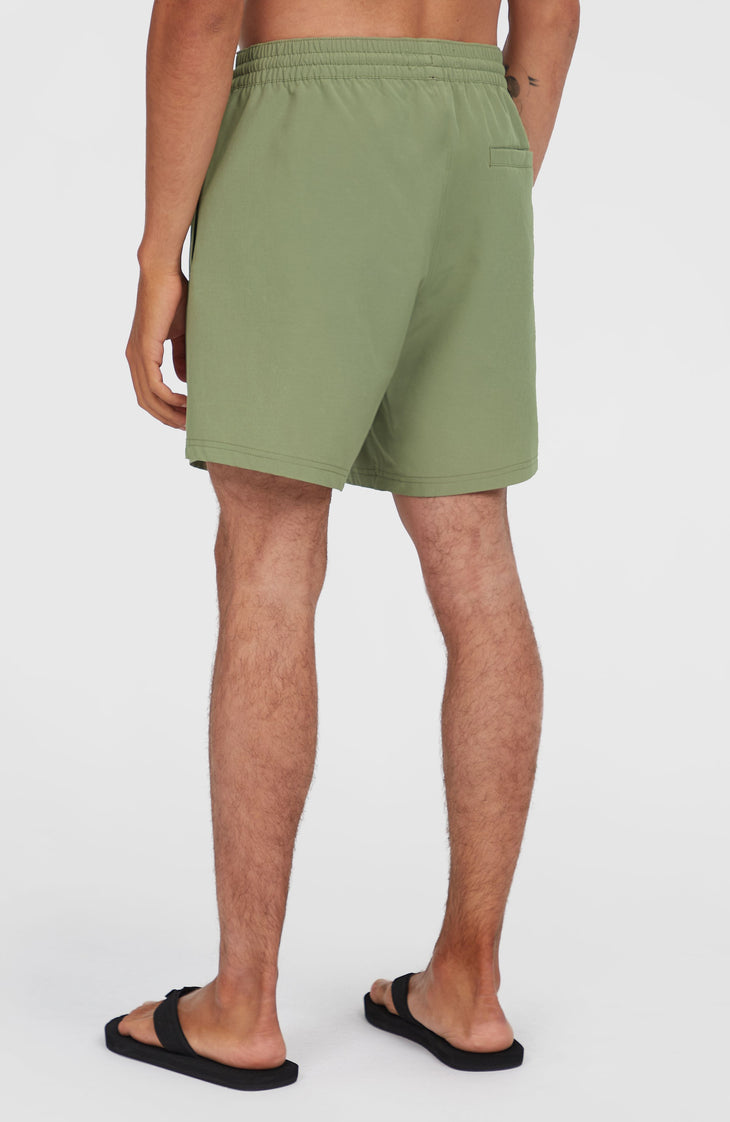 O'Riginals Cali Ocean 16'' Badehose | Avery Fern