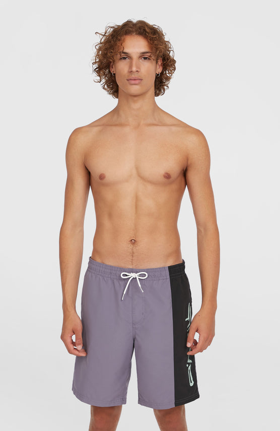 Retro 19'' Badehose | Storm Colour Block