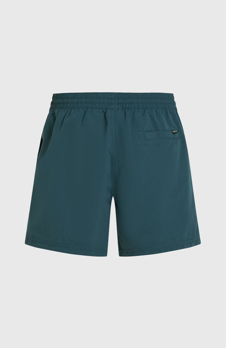 Retro 14'' Badehose | Alma Steel Colour Block