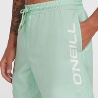 Cali 16'' Badehose | Mildrew Mint