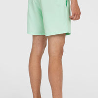 Original Cali 16'' Badehose | Mildrew Mint