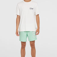 Original Cali 16'' Badehose | Mildrew Mint