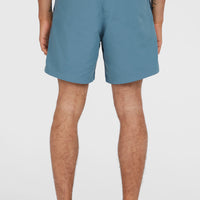 O'Neill Vert 16'' Badehose | Copen Blue