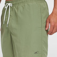 O'Neill Vert 16'' Badehose | Avery Fern