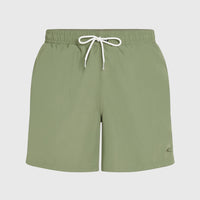 O'Neill Vert 16'' Badehose | Avery Fern