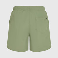 O'Neill Vert 16'' Badehose | Avery Fern