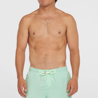 O'Neill Vert 16'' Badehose | Mildrew Mint