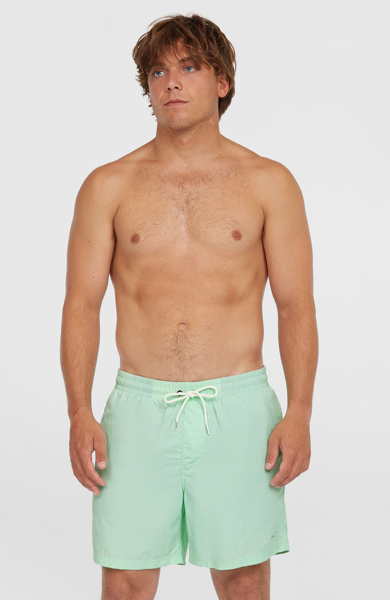 O'Neill Vert 16'' Badehose | Mildrew Mint